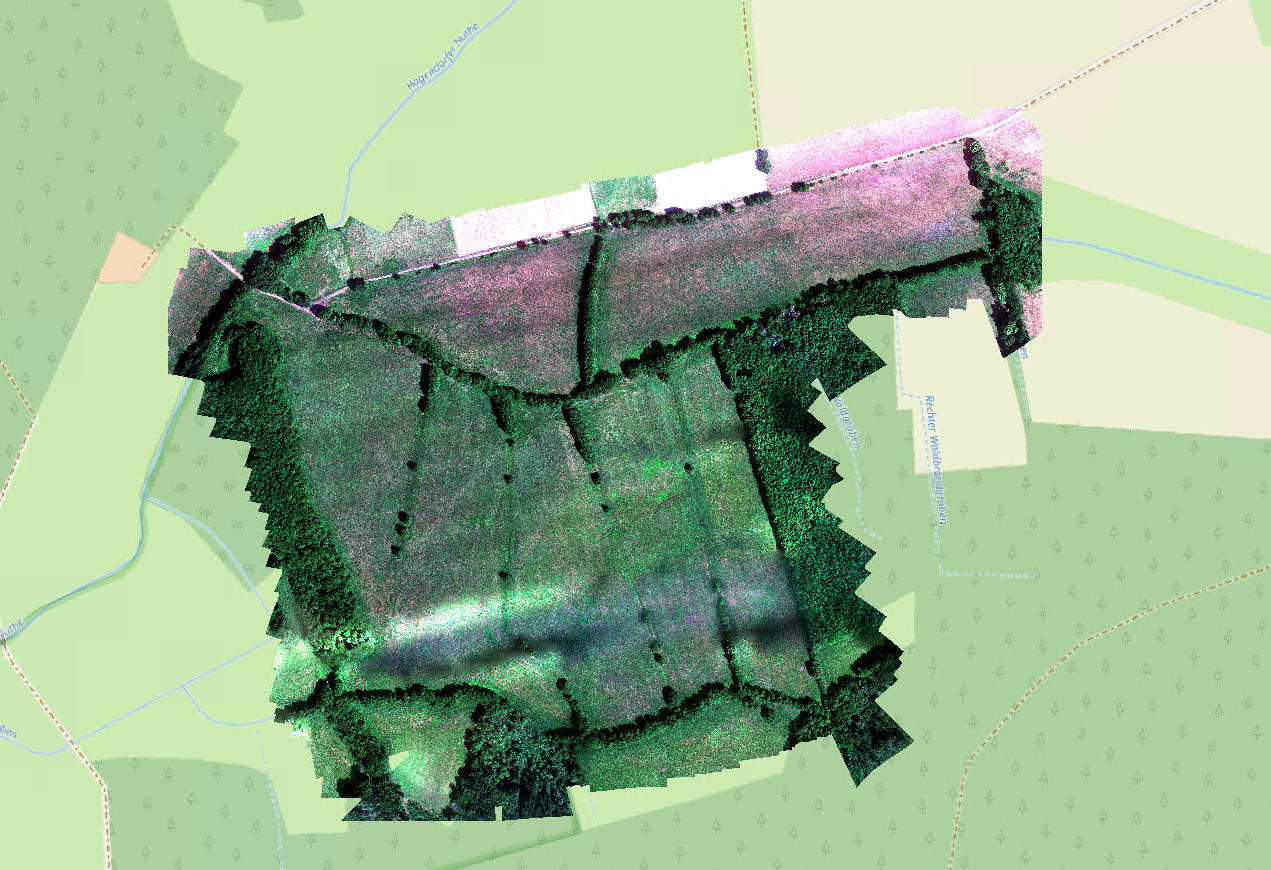 preview nedlitz 20260625_altum